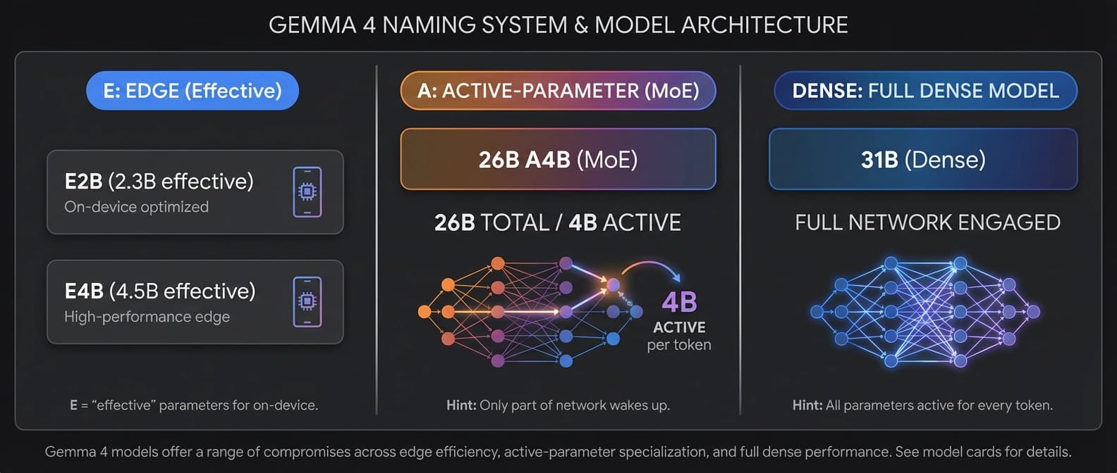 Editorial explainer diagram decoding Gemma 4's naming system across E2B, E4B, 26B A4B, and 31B, contrasting edge-effective, active-parameter MoE, and dense model paths.